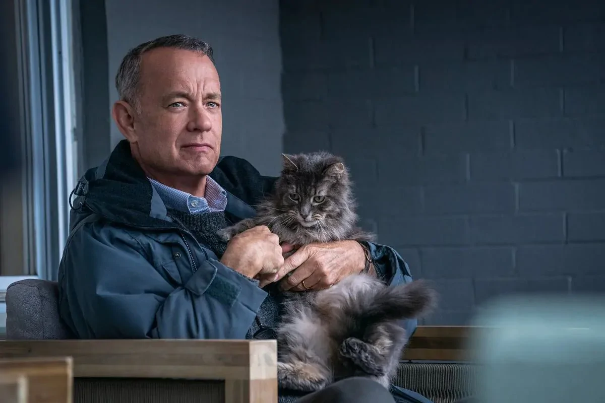 Tom Hanks jest kuzynem Abrahama Lincolna! Poznaj 5 ciekawostek o aktorze!