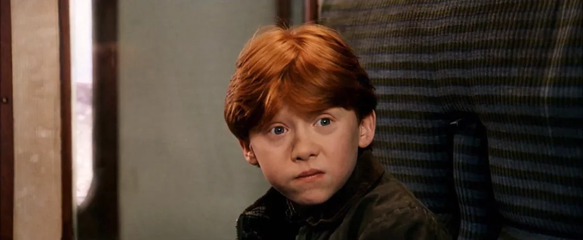 Harry Potter - polscy fani zawiedzeni emisją na TVN 7