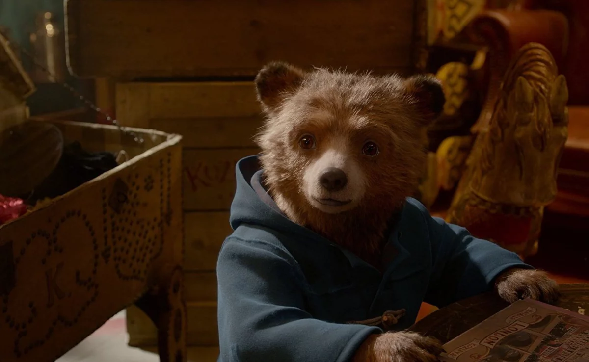 Paddington 3 - trwają prace nad trzecią częścią! Paul King nie będzie jej reżyserem!