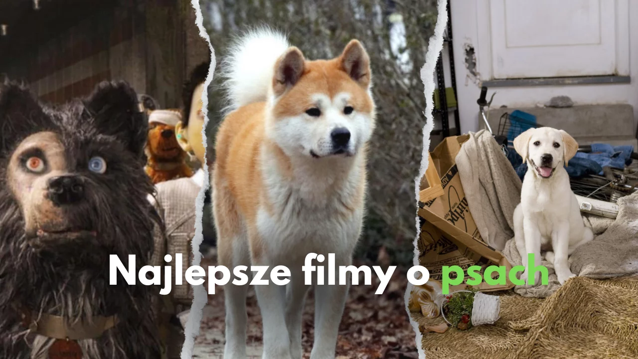 Najlepsze filmy o psach! | TOP 20