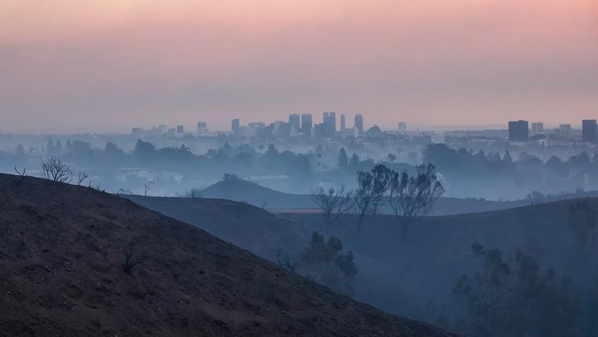 Gwiazdy Hollywood tracą domy wskutek pożarów w Los Angeles