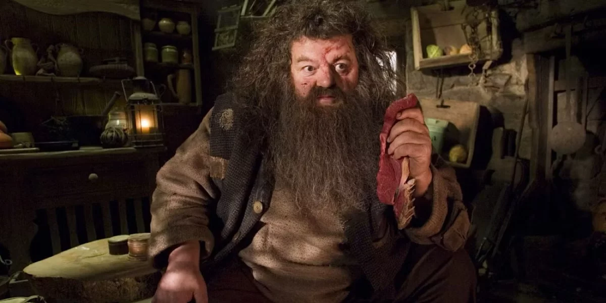 Nowy Hagrid wybrany? Kogo jeszcze zobaczymy w serialowym Harrym Potterze?