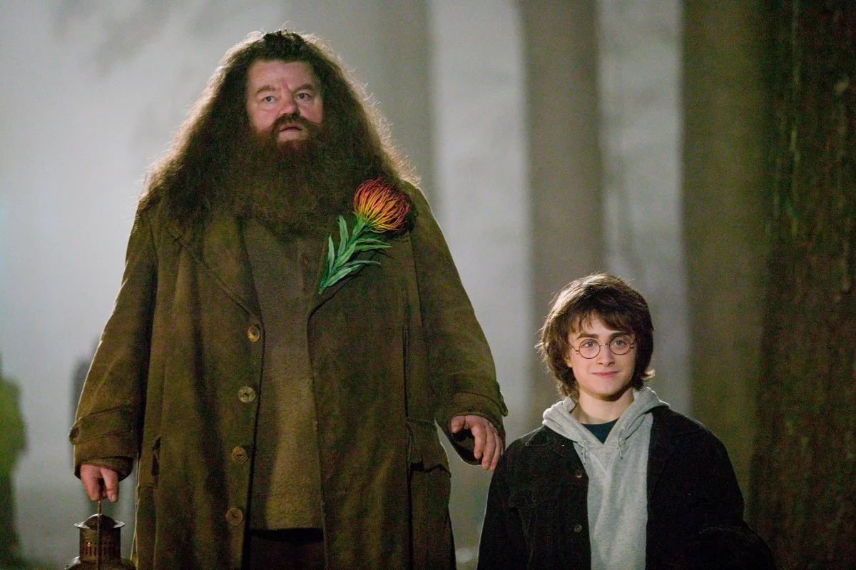 Tak prezentuje się Nick Frost jako Hagrid w nowym Harrym Potterze!