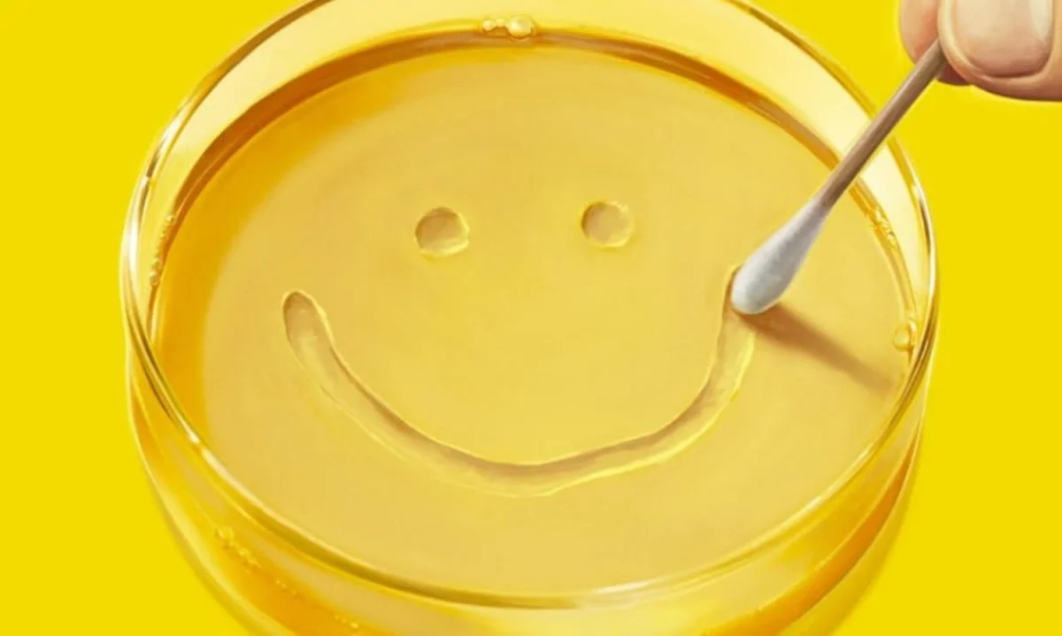 Pierwsze spojrzenie na nowy serial twórcy Breaking Bad. O czym opowie Pluribus?