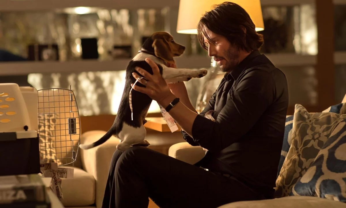 Keanu Reeves połączy siły z Timem Millerem. Aktor zagra w filmie Shiver