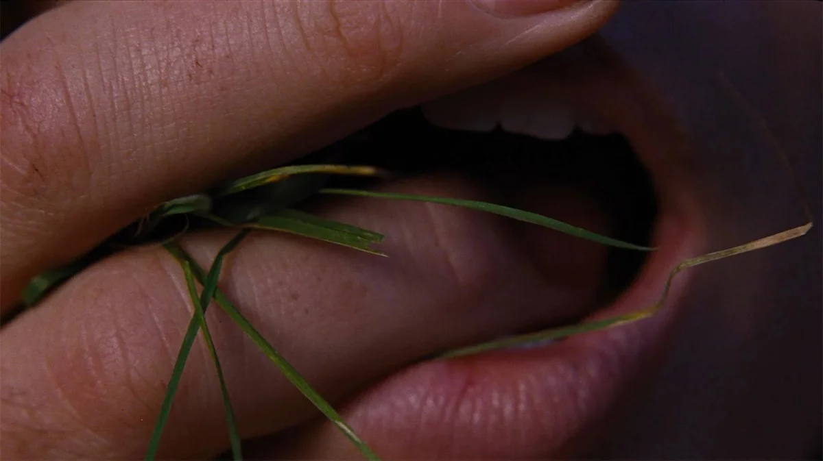 Wichrowe Wzgórza zachwycają publikę! Szykuje się obowiązkowy seans w kinie