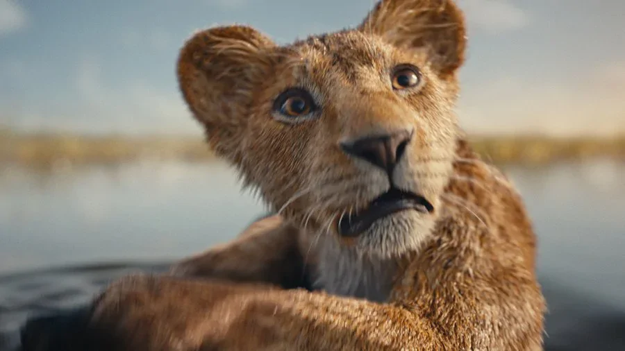 Barry Jenkins odpowiada na krytykę skierowaną w film Mufasa: Król Lew