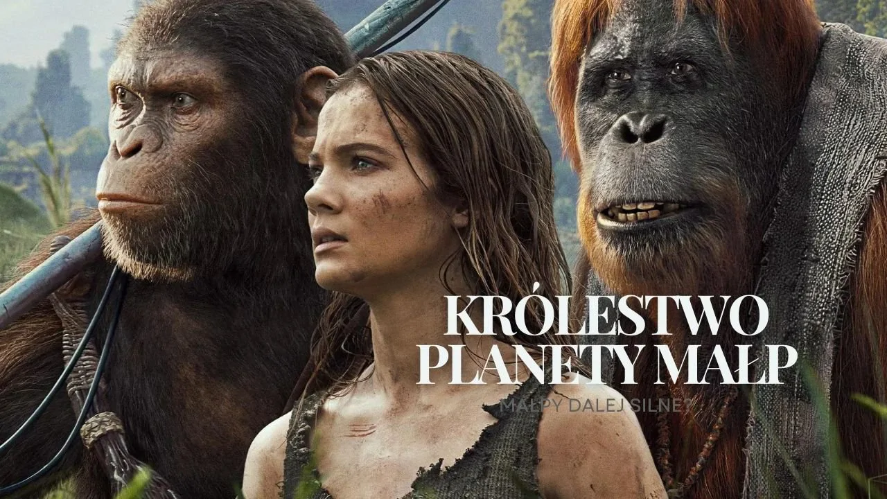 Królestwo planety małp - recenzja filmu! Konflikty małe i duże