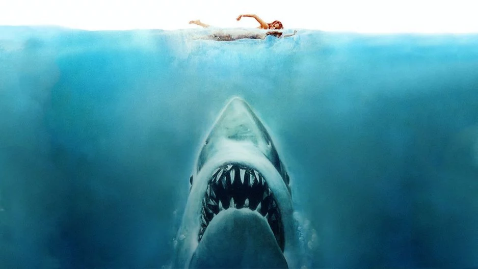 Szczęki, aż strach się bać! Wybieramy najlepsze filmy o rekinach z okazji dnia rekina!