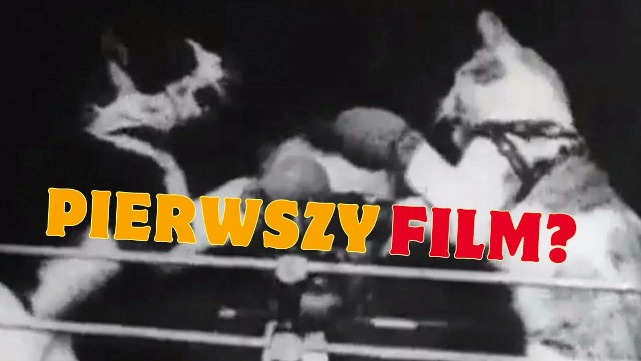 Jaki był pierwszy film? Walczące kotki, biegnący koń i historia kinematografii!