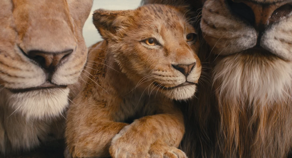 Mufasa: Król lew z nowym zwiastunem! Będzie hit na miarę filmu z 2019 roku?