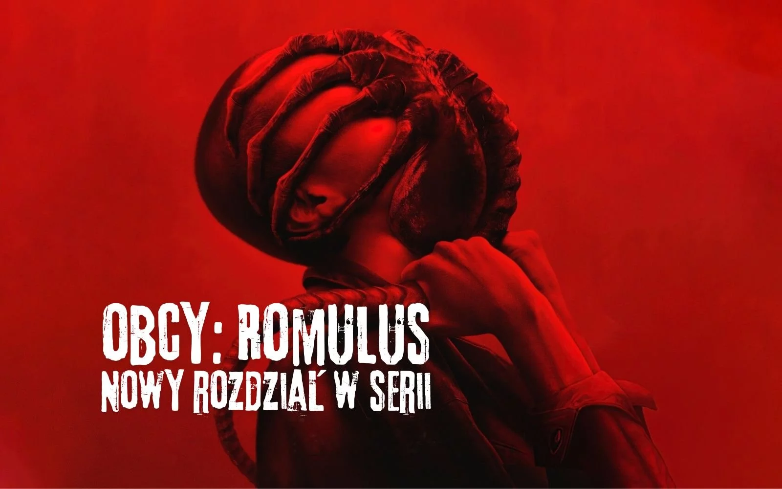 Obcy: Romulus - recenzja filmu! Nie chcemy się dłużej bać