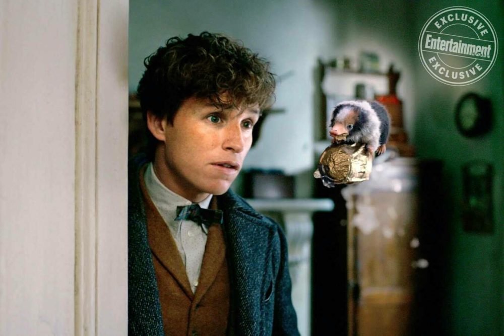 Newt Scamander i Niuchacz