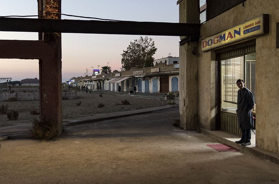 Fot. kadr z filmu Dogman