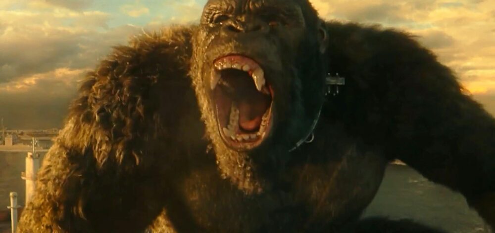 Godzilla vs. Kong - premiera filmu przesunięta o dwa miesiące!
