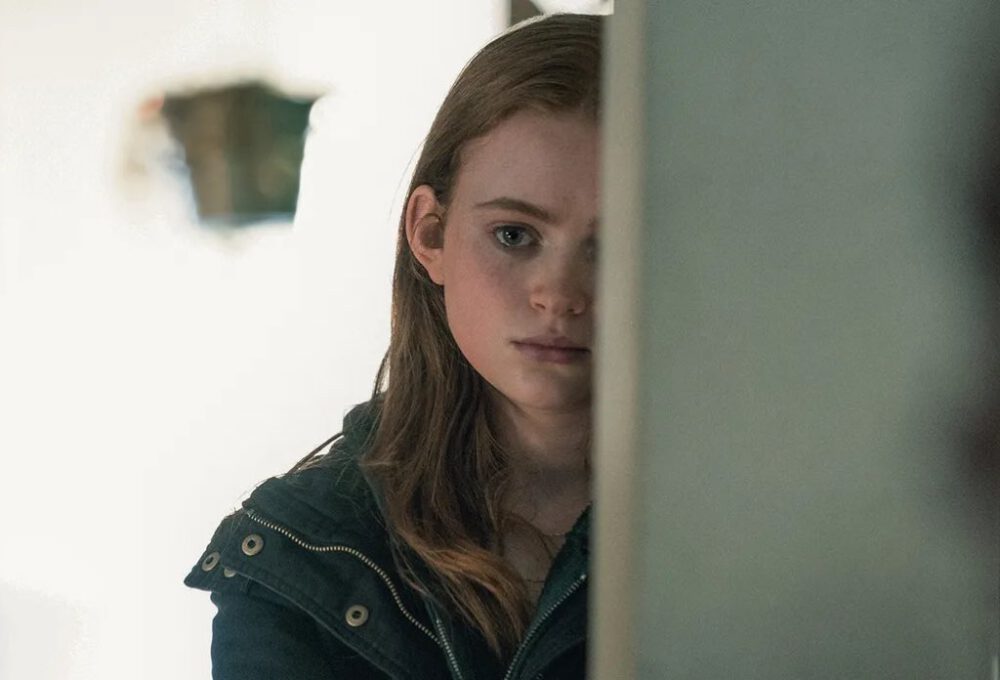 the whale sadie sink 